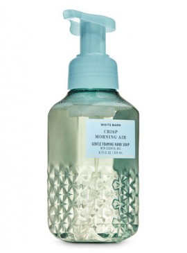 More about Пенящееся мыло для рук Bath and Body Works - Crisp Morning Air