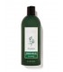 Шампунь для всіх типів волосся Eucalyptus Spearmint від Bath and Body Works