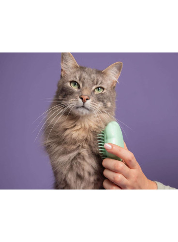 Гребінець для вичісування кота Pet Teezer Cat Grooming Green