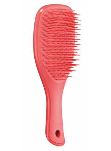 Щітка Tangle Teezer The Wet Detangler Mini Pink Punch