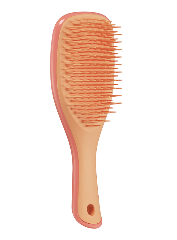 Купить Расческа Tangle Teezer The Ultimate Detangler Mini Salmon