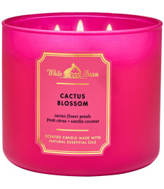 Свеча Cactus Blossom от Bath and Body Works