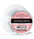 Ароматизатор для машини Autumn Drive від Bath and Body Works